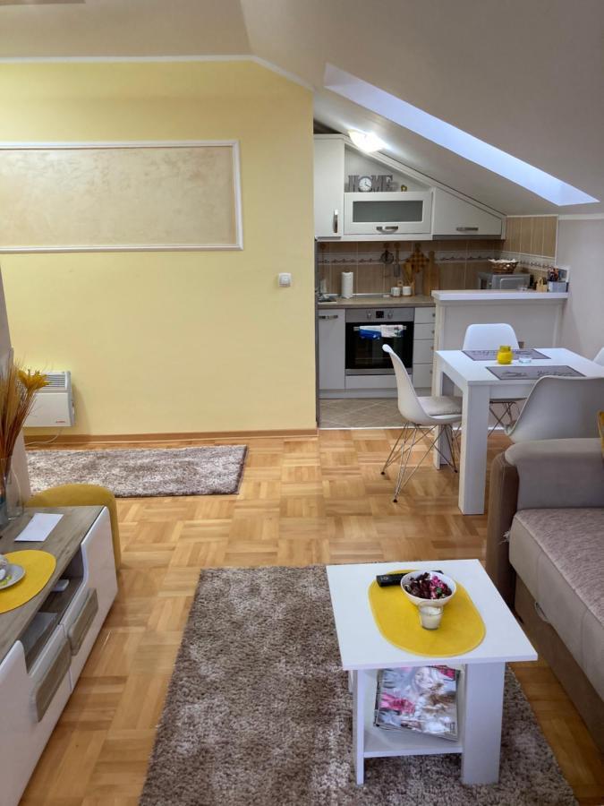 Apartmani Grand Lux Vrnjačka Banja Kültér fotó